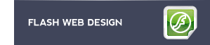 flash design and flash animation