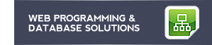 web programming and database management solutions
