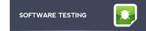 software testing